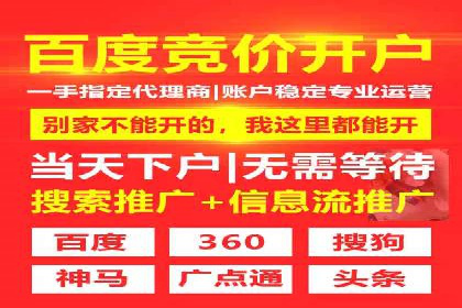 百度移动端应用推广策略探讨